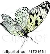 Poster, Art Print Of Gradient Butterfly