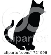 Poster, Art Print Of Silhouette Cat Pet Animal