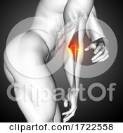 3D Male Medical Figure With Close Up Of Elbow Bone