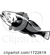 Poster, Art Print Of Red Drum Spottail Bass Redfish Channel Bass Or Puppy Drum Jumping Woodcut Black And White Retro
