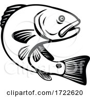 Poster, Art Print Of Red Drum Redfish Channel Bass Puppy Drum Or Spottail Bass Jumping Up Black And White Retro
