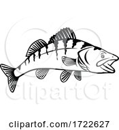 Walleye Yellow Pike Or Yellow Pickerel Side View Stencil Black And White Retro Style