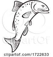 Poster, Art Print Of Chinook Salmon Oncorhynchus Tshawytscha King Salmon Or Quinnat Salmon Jumping Up Cartoon Black And White