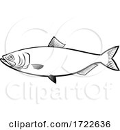 Poster, Art Print Of Blueback Herring Or Blueback Shad Alosa Aestivalis Side View Stencil Black And White