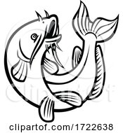 Poster, Art Print Of Blue Catfish Ictalurus Furcatus Jumping Cartoon Black And White