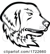 Poster, Art Print Of Head Of Great Pyrenees Dog Or Pyrenean Mountain Dog Black And White Mascot