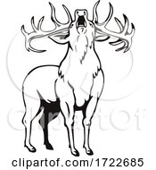 Poster, Art Print Of Red Deer Cervus Elaphus Roaring Viewed From Front Stencil Black And White Retro