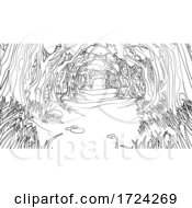 Poster, Art Print Of Forest Woodland Trees Path Coloring Book Scene