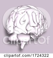 Poster, Art Print Of 3d Medical Background With Brain