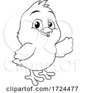 Easter Chick Coloring Book Black And White Cartoon