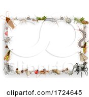 Poster, Art Print Of Insect Border