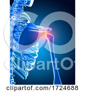 Poster, Art Print Of 3d Medical Background Of A Skeleton With Shoulder Bone Highlighted