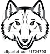 Poster, Art Print Of Head Of Artic Wolf Front View Mascot Black And White