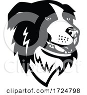 Head Of Border Collie Or Scottish Sheepdog Dog Mascot Black And White