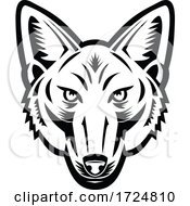 Poster, Art Print Of Head Of American Jackal Front View Retro Woodcut Black And White