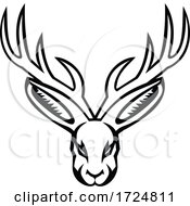 Head Of A Jackalope Front View Mascot Black And White