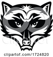 Head Of An Angry North American Raccoon Front View Mascot Black And White
