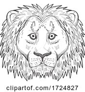 Head Of A Coward And Scared Lion Front View Black And White Drawing