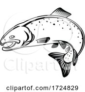 Poster, Art Print Of Coho Salmon Oncorhynchus Kisutch Silver Salmon Or Silvers Jumping Up Retro Woodcut Black And White