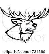 Poster, Art Print Of Head Of A Red Deer Or Cervus Elaphus Stag Or Buck With Antlers Roaring Side View Mascot Black And White