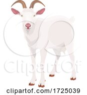 Poster, Art Print Of White Goat