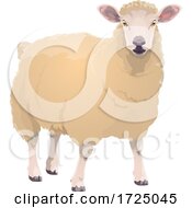 Poster, Art Print Of Fluffy Sheep