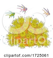 Poster, Art Print Of Fish Over A Sea Anemone
