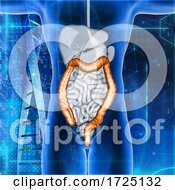 3d Male Medical Figure With Colon Highlighted