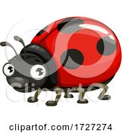 Cute Ladybug by Vector Tradition SM