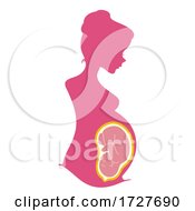 Poster, Art Print Of Silhouette Woman Pregnant Womb Baby Illustration