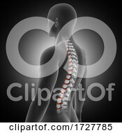3D Medical Background With Male Figure With Spine And Discs Highlighted