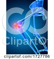Poster, Art Print Of 3d Medical Image Of A Skeleton With Knee Bone Highlighted