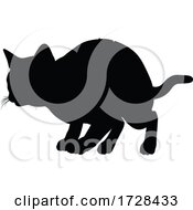 Silhouette Cat Pet Animal