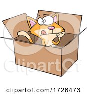 Poster, Art Print Of Cartoon Schrodingers Cat In A Box