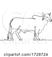 Poster, Art Print Of Brahman Bull Standing Side View Continuous Line Drawing Black And White Illustration