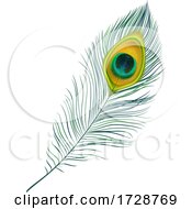 Poster, Art Print Of Peacock Feather
