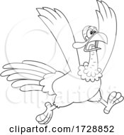 Poster, Art Print Of Black And White Crazy Running Turkey Bird