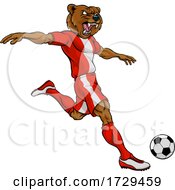 Bear Soccer Football Player Animal Sports Mascot