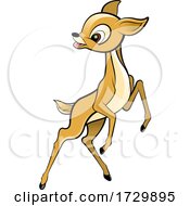 Cute Fawn Deer Jumping by Lal Perera