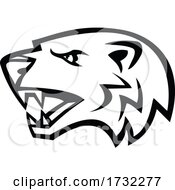 Poster, Art Print Of Angry North American Badger Head Side View Mascot Black And White