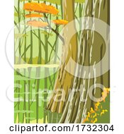 Poster, Art Print Of Congaree National Park In Columbia South Carolina United States Wpa
