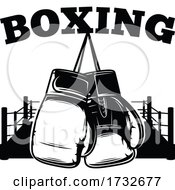 Boxing Sports Design
