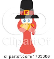 Poster, Art Print Of Turkey Bird Face With A Pilgrim Hat
