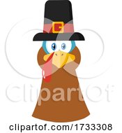 Turkey Bird Face With A Pilgrim Hat