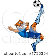 Tiger Soccer Football Player Animal Sports Mascot