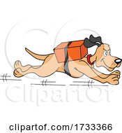 Running Dog With A Delivery Package On His Back