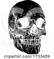 Skull Grim Reaper Vintage Woodcut Illustration