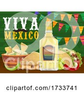 Viva Mexicao