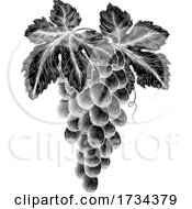 Bunch Of Grapes On Vine With Leaves by AtStockIllustration