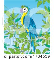 Poster, Art Print Of Macaw Parrot